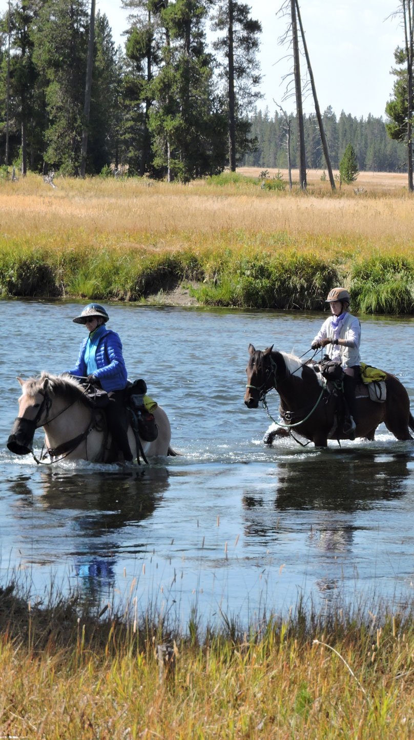 horse pack trips in yellowstone